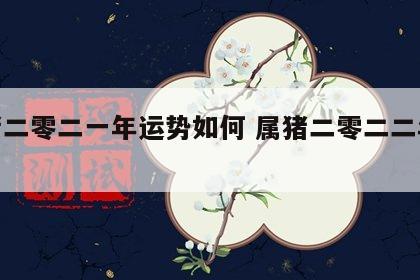 属猪二零二一年运势如何 属猪二零二二年运势