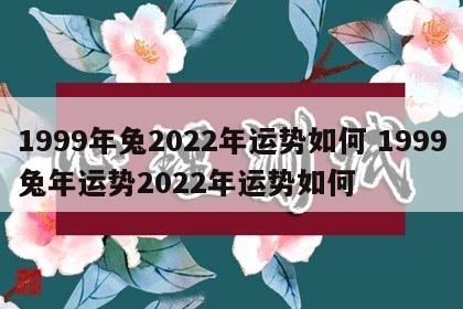 1999年兔2022年运势如何 1999兔年运势2022年运势如何