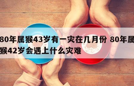 80年属猴43岁有一灾在几月份 80年属猴42岁会遇上什么灾难