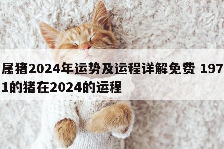 属猪2024年运势及运程详解免费 1971的猪在2024的运程