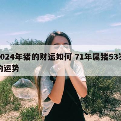 2024年猪的财运如何 71年属猪53岁的运势