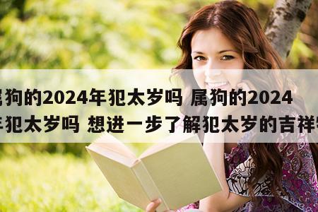 属狗的2024年犯太岁吗 属狗的2024年犯太岁吗 想进一步了解犯太岁的吉祥物