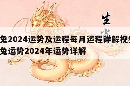 属兔2024运势及运程每月运程详解视频 属兔运势2024年运势详解