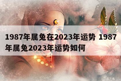 1987年属兔在2023年运势 1987年属兔2023年运势如何