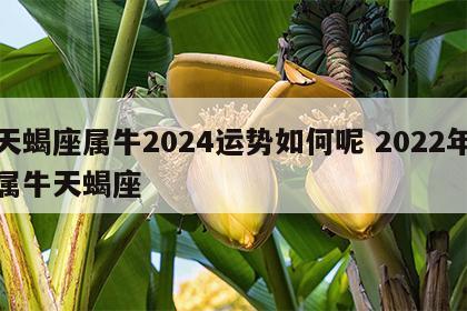 天蝎座属牛2024运势如何呢 2022年属牛天蝎座