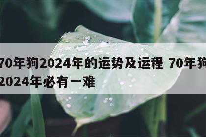 70年狗2024年的运势及运程 70年狗2024年必有一难