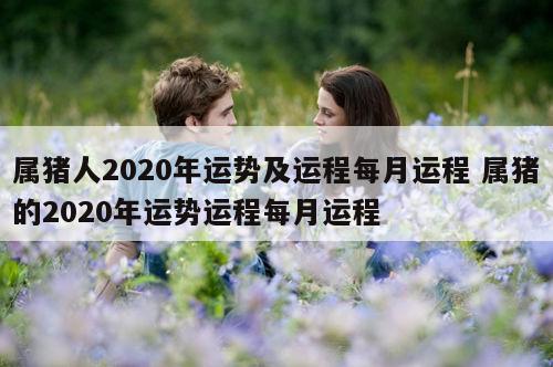 属猪人2020年运势及运程每月运程 属猪的2020年运势运程每月运程
