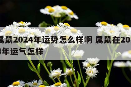 属鼠2024年运势怎么样啊 属鼠在2024年运气怎样