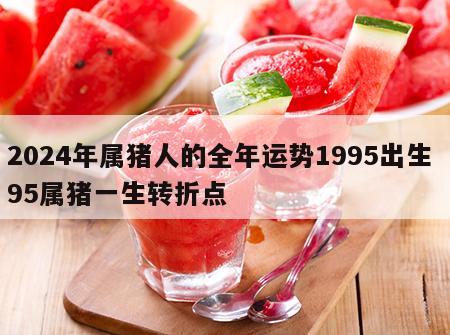 2024年属猪人的全年运势1995出生 95属猪一生转折点