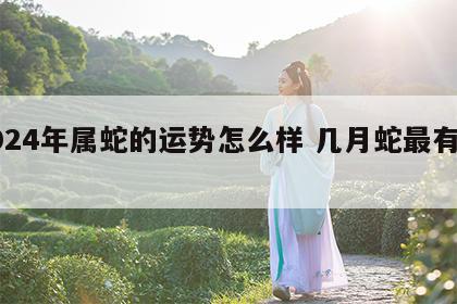 2024年属蛇的运势怎么样 几月蛇最有福气