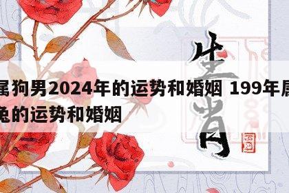 属狗男2024年的运势和婚姻 199年属兔的运势和婚姻