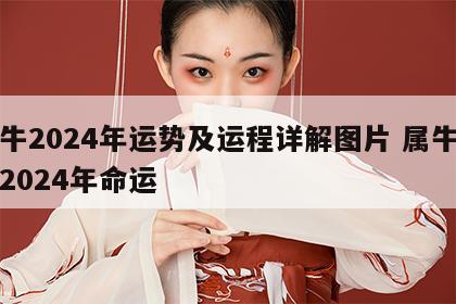 属牛2024年运势及运程详解图片 属牛的人2024年命运
