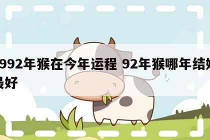 1992年猴在今年运程 92年猴哪年结婚最好