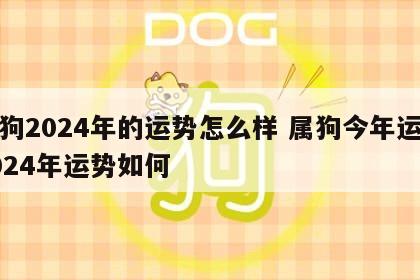 属狗2024年的运势怎么样 属狗今年运势2024年运势如何