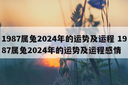 1987属兔2024年的运势及运程 1987属兔2024年的运势及运程感情