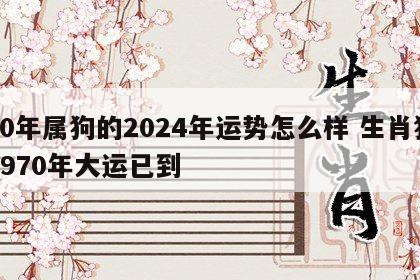 70年属狗的2024年运势怎么样 生肖狗1970年大运已到