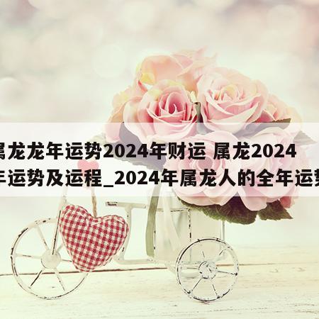属龙龙年运势2024年财运 属龙2024年运势及运程_2024年属龙人的全年运势
