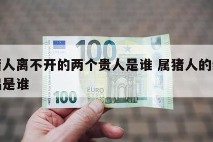 属猪人离不开的两个贵人是谁 属猪人的终身伴侣是谁