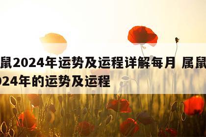 属鼠2024年运势及运程详解每月 属鼠的2024年的运势及运程