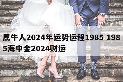 属牛人2024年运势运程1985 1985海中金2024财运
