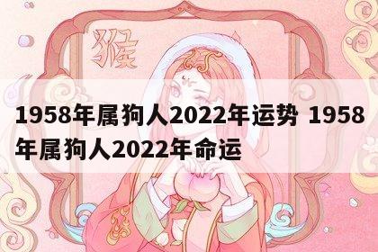 1958年属狗人2022年运势 1958年属狗人2022年命运