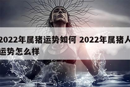 2022年属猪运势如何 2022年属猪人运势怎么样
