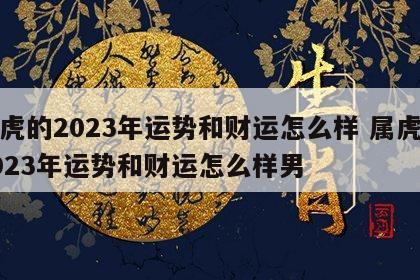 属虎的2023年运势和财运怎么样 属虎的2023年运势和财运怎么样男