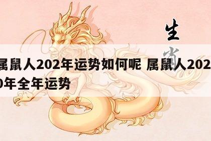 属鼠人202年运势如何呢 属鼠人202 0年全年运势