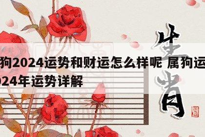 属狗2024运势和财运怎么样呢 属狗运势2024年运势详解