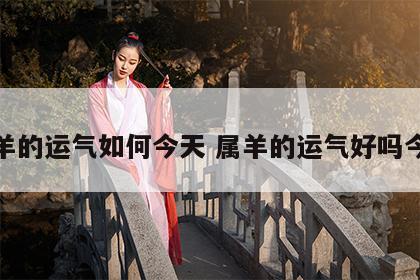 属羊的运气如何今天 属羊的运气好吗今年