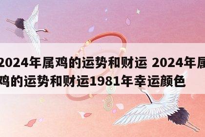 2024年属鸡的运势和财运 2024年属鸡的运势和财运1981年幸运颜色