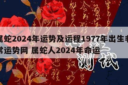 属蛇2024年运势及运程1977年出生非常运势网 属蛇人2024年命运
