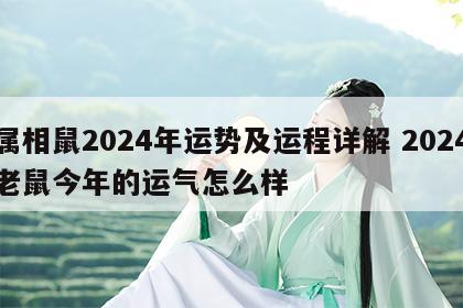 属相鼠2024年运势及运程详解 2024老鼠今年的运气怎么样