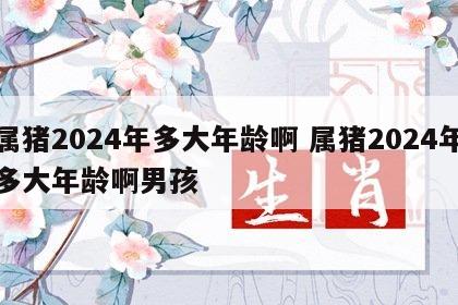 属猪2024年多大年龄啊 属猪2024年多大年龄啊男孩