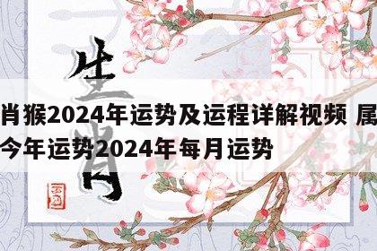 生肖猴2024年运势及运程详解视频 属猴人今年运势2024年每月运势