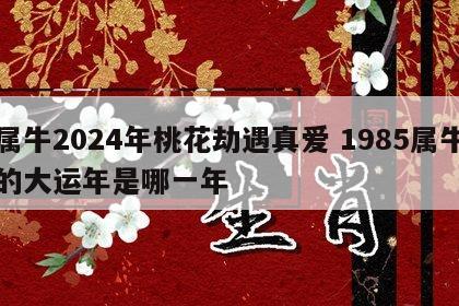 属牛2024年桃花劫遇真爱 1985属牛的大运年是哪一年