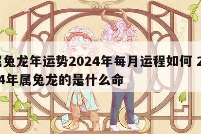 属兔龙年运势2024年每月运程如何 2024年属兔龙的是什么命