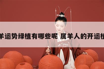 属羊运势绿植有哪些呢 属羊人的开运植物