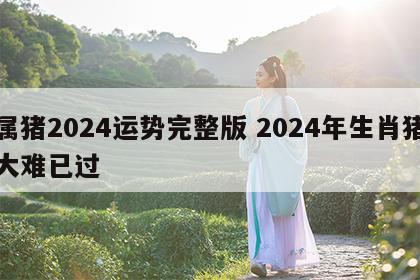 属猪2024运势完整版 2024年生肖猪大难已过