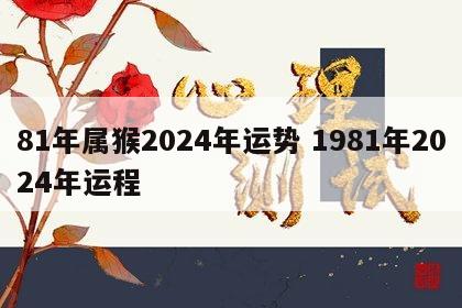 81年属猴2024年运势 1981年2024年运程