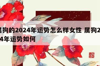 属狗的2024年运势怎么样女性 属狗2024年运势如何