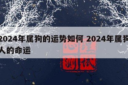 2024年属狗的运势如何 2024年属狗人的命运