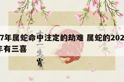 77年属蛇命中注定的劫难 属蛇的2024年有三喜