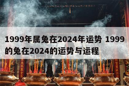 1999年属兔在2024年运势 1999的兔在2024的运势与运程