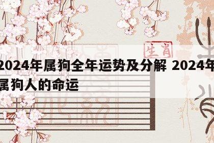 2024年属狗全年运势及分解 2024年属狗人的命运
