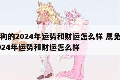 属狗的2024年运势和财运怎么样 属兔的2024年运势和财运怎么样