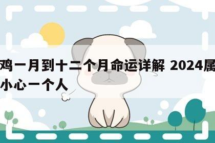 属鸡一月到十二个月命运详解 2024属鸡要小心一个人