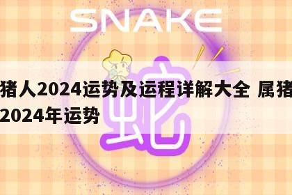 属猪人2024运势及运程详解大全 属猪的人2024年运势