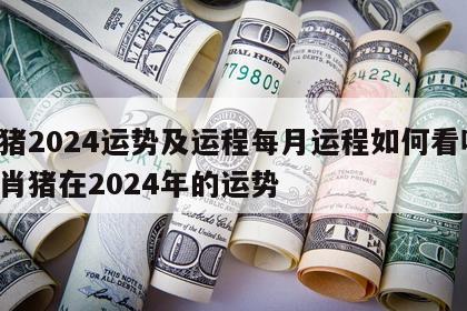 属猪2024运势及运程每月运程如何看呢 生肖猪在2024年的运势