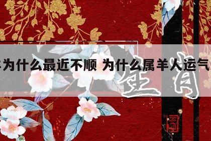 属羊为什么最近不顺 为什么属羊人运气这么差